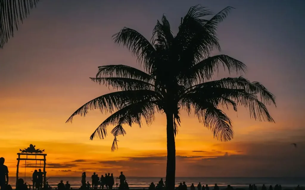 Palm tree silhouetted against an orange Seminyak sunset