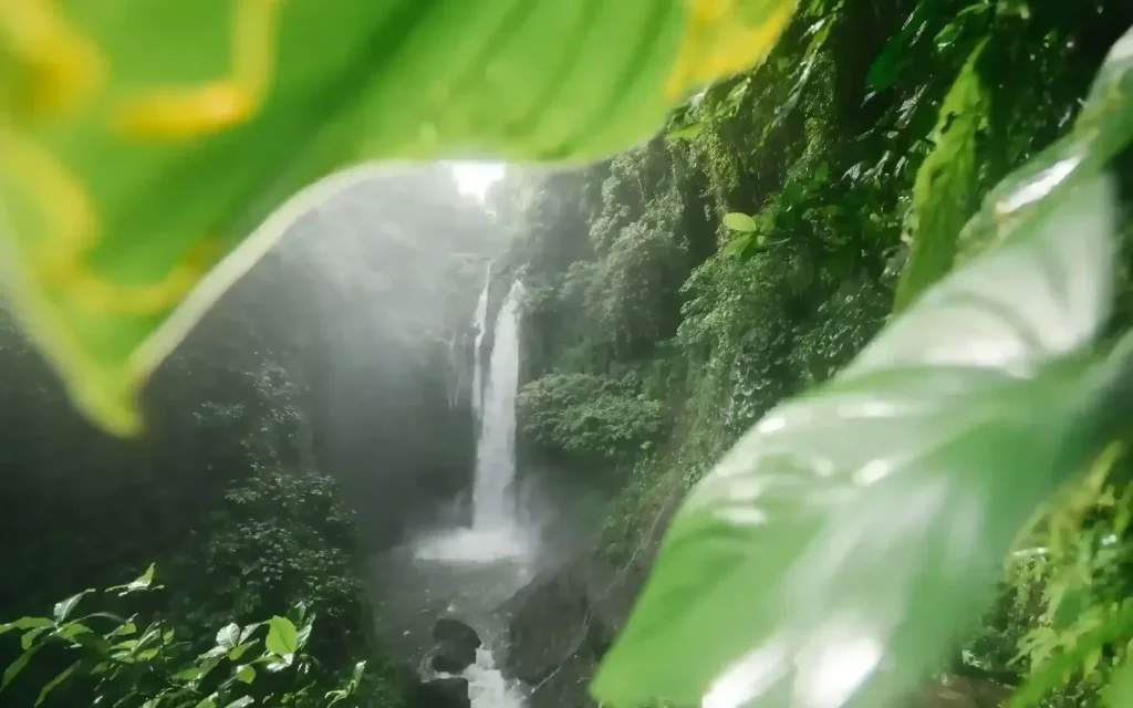 Waterfall in a lush green Balinese jungle
